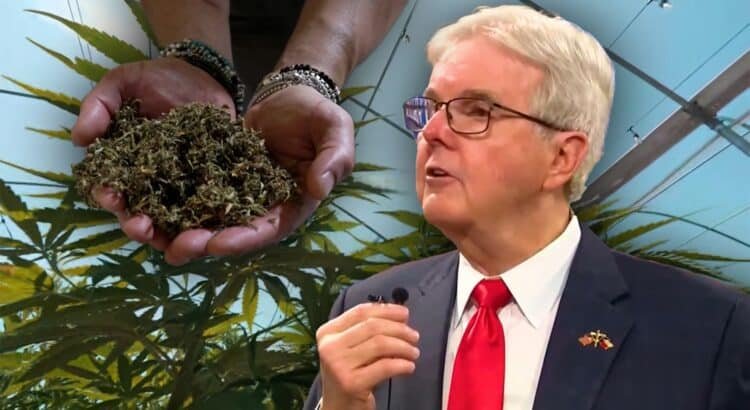 Industria del cannabis en Texas enfrenta posible colapso por ley contra productos con THC