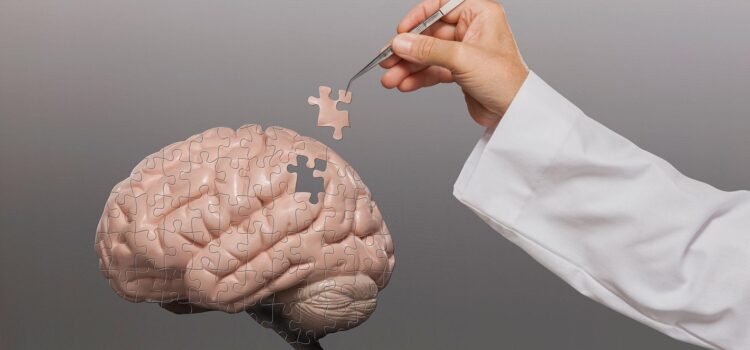 Científicos logran cultivar mini cerebros humanos completos para estudiar el tratamiento de enfermedades neurológicas complejas