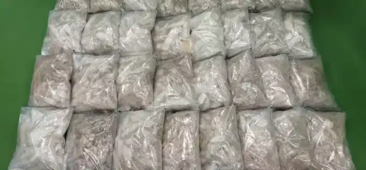 Mujer admite haber entregado 29 kilos de metanfetamina a agentes encubiertos