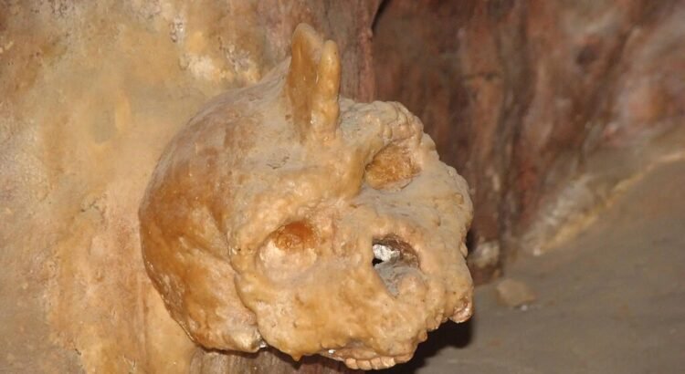 Misterioso cráneo de 300.000 años encontrado en una cueva y que no es humano ni neandertal