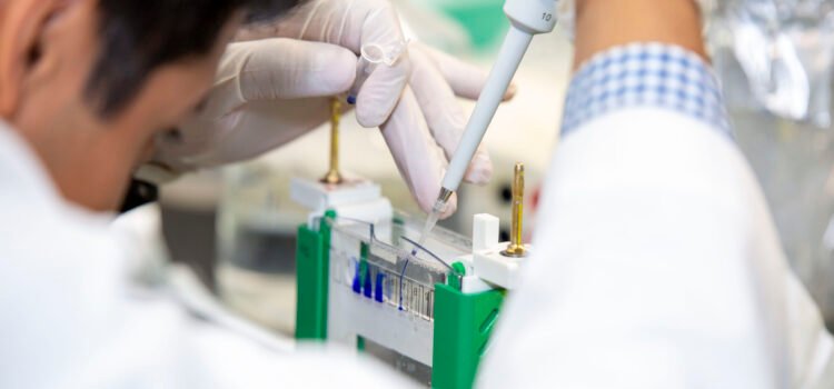 Texas Tech El Paso anuncia nuevo programa de doctorado en biomedicina