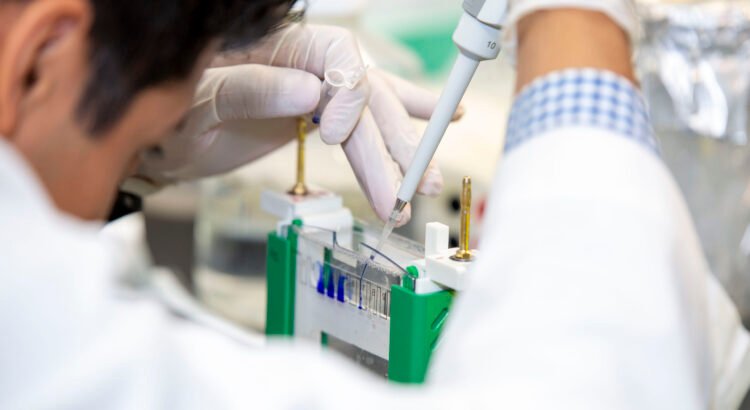 Texas Tech El Paso anuncia nuevo programa de doctorado en biomedicina