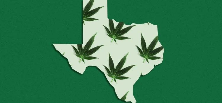 Texas Original anuncia la primera jeringa oral de cannabis medicinal del estado