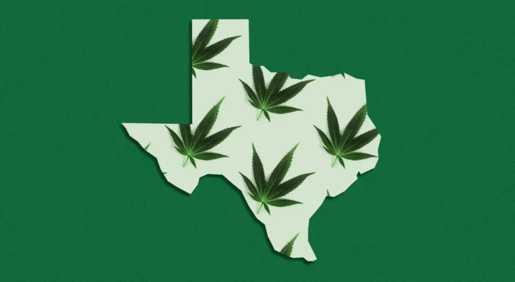 Texas Original anuncia la primera jeringa oral de cannabis medicinal del estado Texas Original anuncia la primera jeringa oral de cannabis medicinal del estado