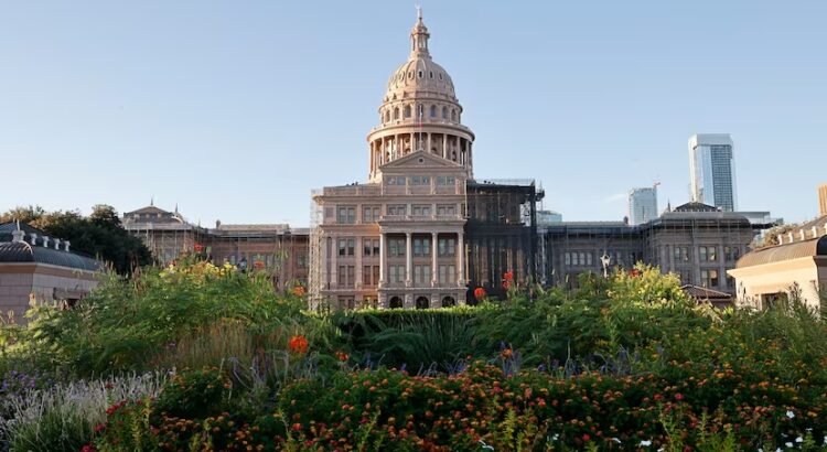 Texas se posiciona para convertirse en un líder mundial en investigación sobre la demencia