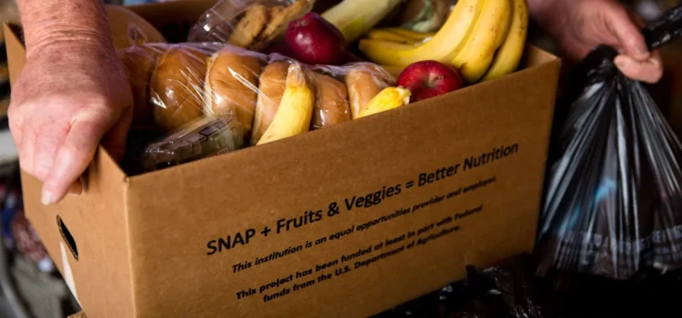 3,5 millones de tejanos verán suspendida la asistencia alimentaria si continúa el cierre del gobierno